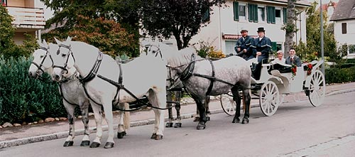 Hochzeitskutsche-2-k