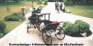 Zweispnniges Schimmelgespann an Glaslandauer