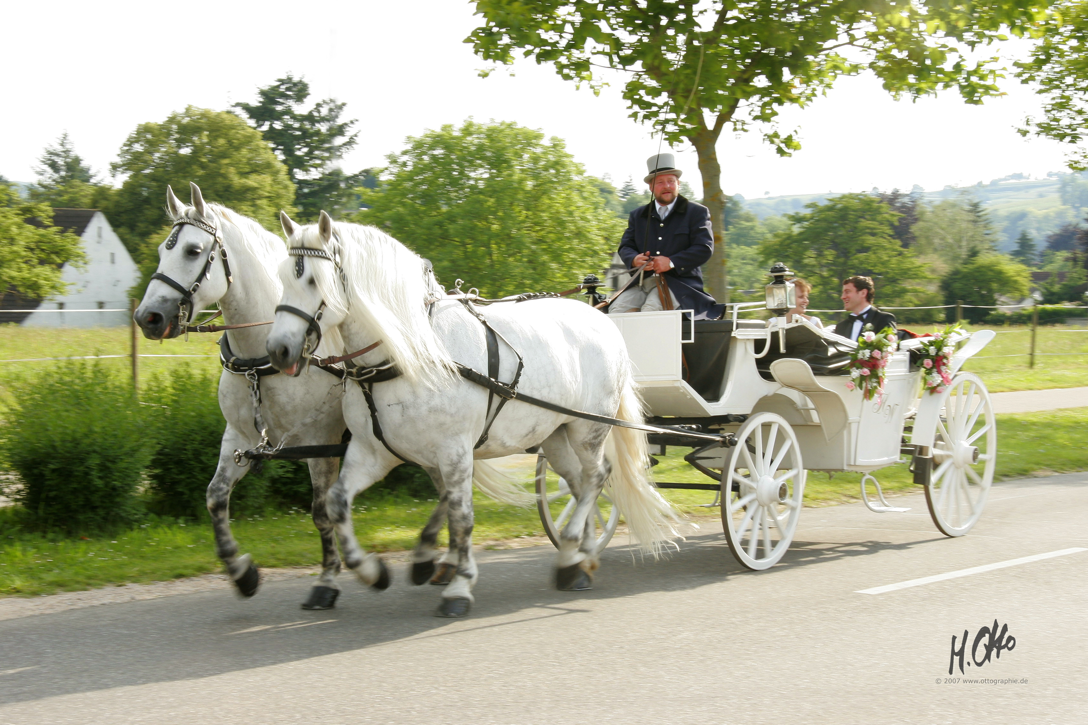 Hochzeitskutschenbild